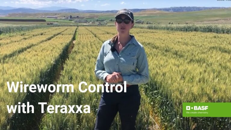 Reddy Anna ID: Understanding the Identity, Influence, and the Role of the Reddy Book Club