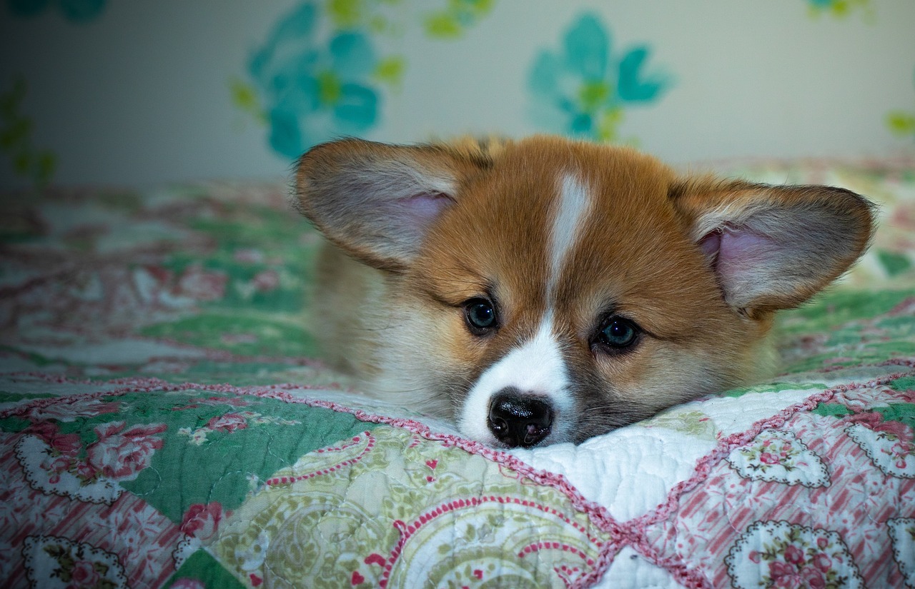 Understanding 99exch: Features, Benefits, and Its Position in Modern Online Gaming Platforms